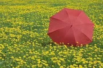 ٳ | ̵˸ӼʵС~