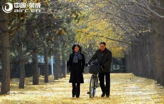 ٳ | лл㣬͵͵һӣͼѻȫ