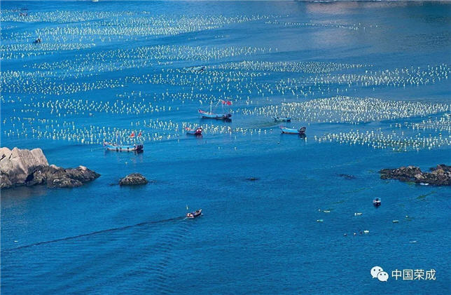 ٳ | С㲻ԣΥ湹ɷ׷