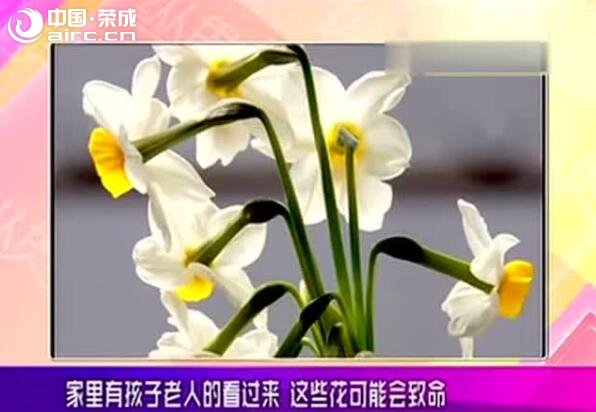 ٳ˼ģӵ⼸ֻ