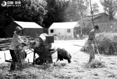 Ūˡٳ40ũ巢չ֮ũƪ