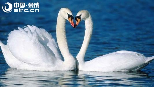 ѹڵִٳԽǧ