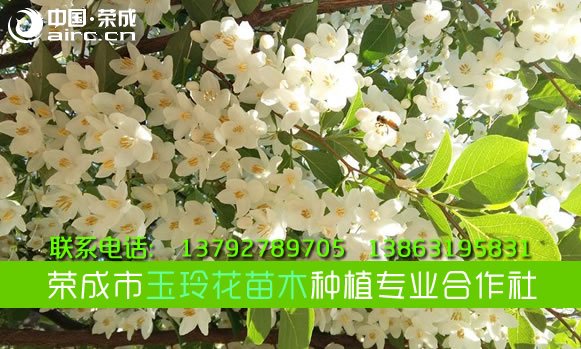 <b> ٳ廨ľֲ</b>