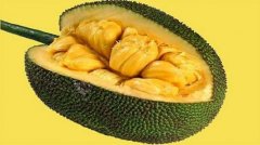 عۣʶĹ㶫˶һʶˮ