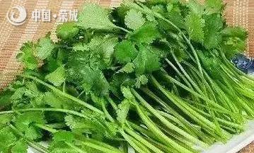 ٳ | Ůÿˣ30Ժ󾪴ˣ