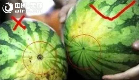 ٳϼУҲҪĸģô