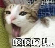 ٳ | Ȧ﷢˼ͼŮӱȦǸ3죬⳥5000