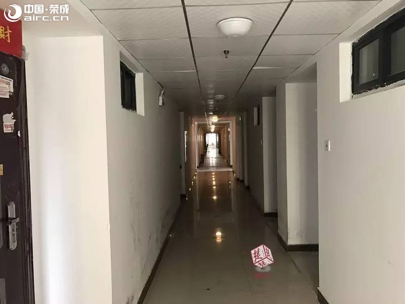 ٳ | ȫѶЭˣŭ˵