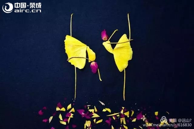 Ҷ赸