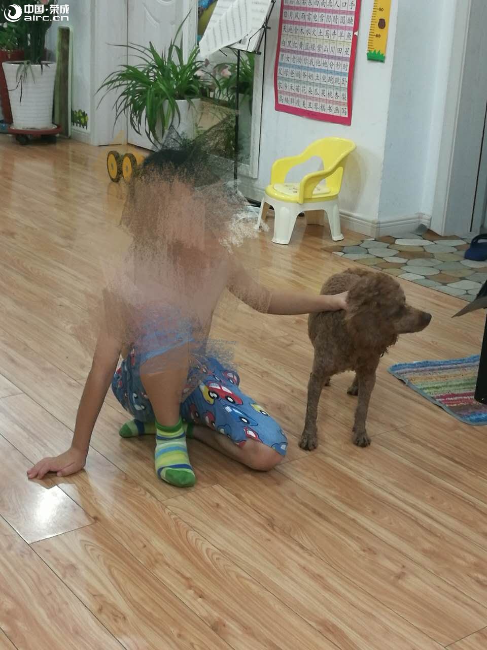 Ѱʾ